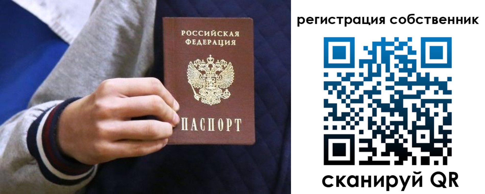 прописка поиск в Апатитах